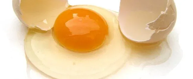 Tuorlo e albume d'uovo