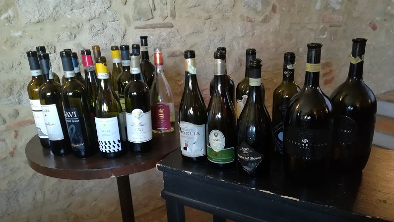 Verticale di Gavi Docg - I vini degustati