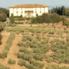 Villa di Artimino