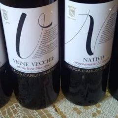 Vini di Duca Carlo Guarini