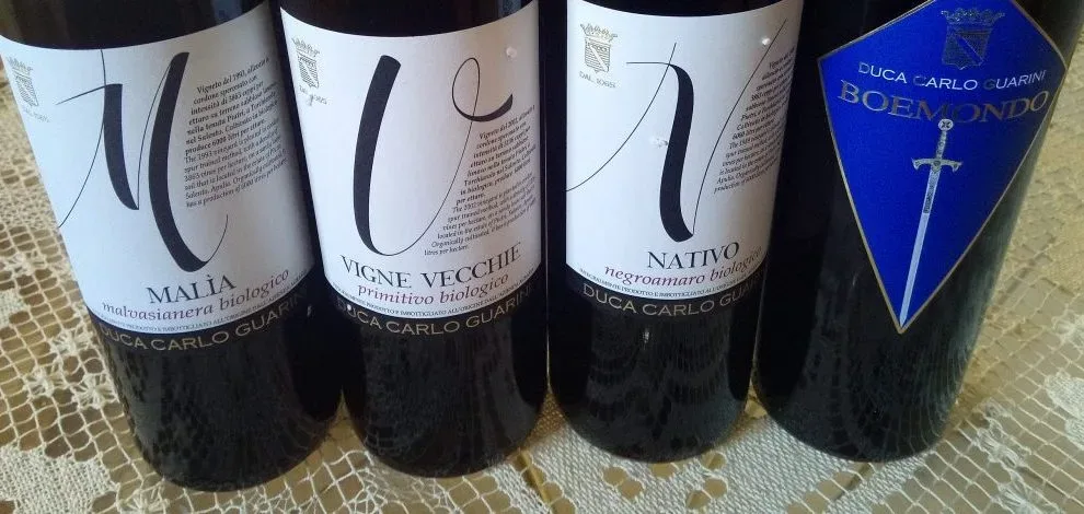 Vini di Duca Carlo Guarini