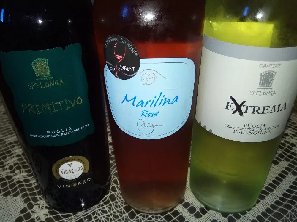 Vini di Spelonga
