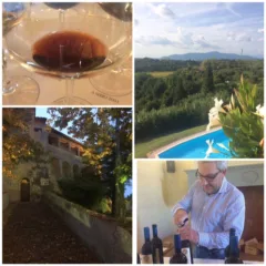 San Gervasio a Palaia