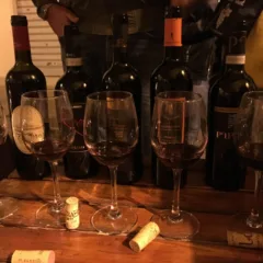 Concorso Enologico Falerno Fest