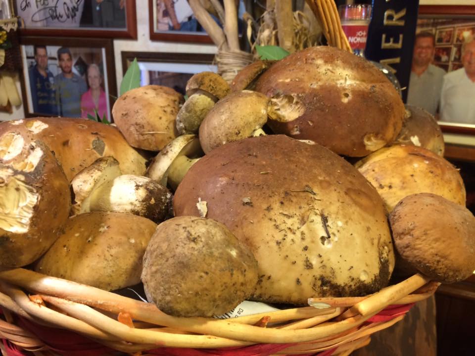 Da Danilo, i funghi porcini