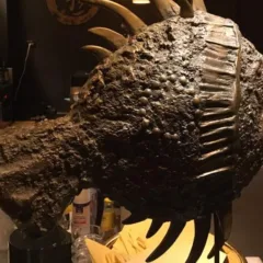 Finger's Roma, Gli Arredi Interni