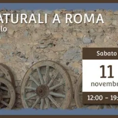 Vignaioli Naturali a Roma 11- 12 novembre 2017