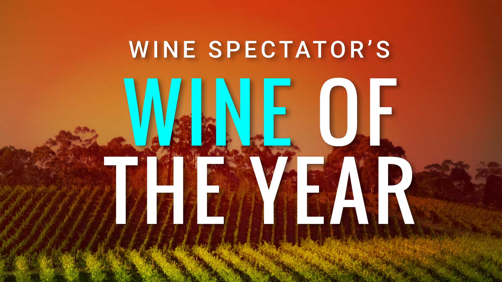 Wine Spectator 2017