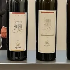 Cinque Stelle in verticale