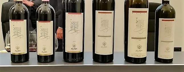 Cinque Stelle in verticale