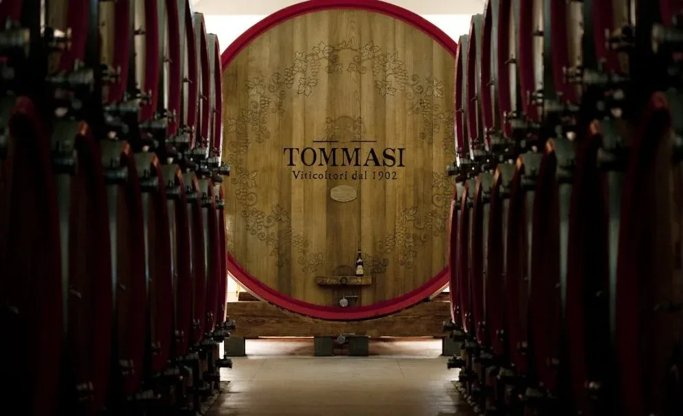 Cantina Tommasi: la Botte Magnifica