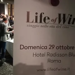 Life of Wine