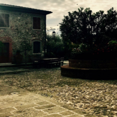 Lunae. I vini della citta' della Luna