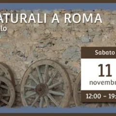 Decima Edizione dei Vignaioli Naturali a Roma