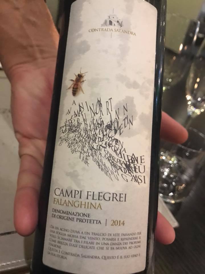 Falanghina 2014 Contrada Salandra