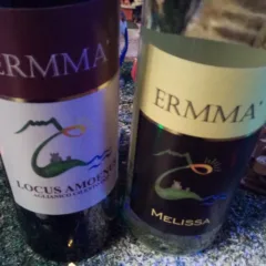 Vini di Ermma'