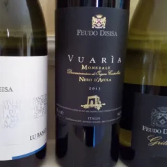 Vini di Feudo Disisa