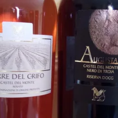 Vini di Terre del Grifo