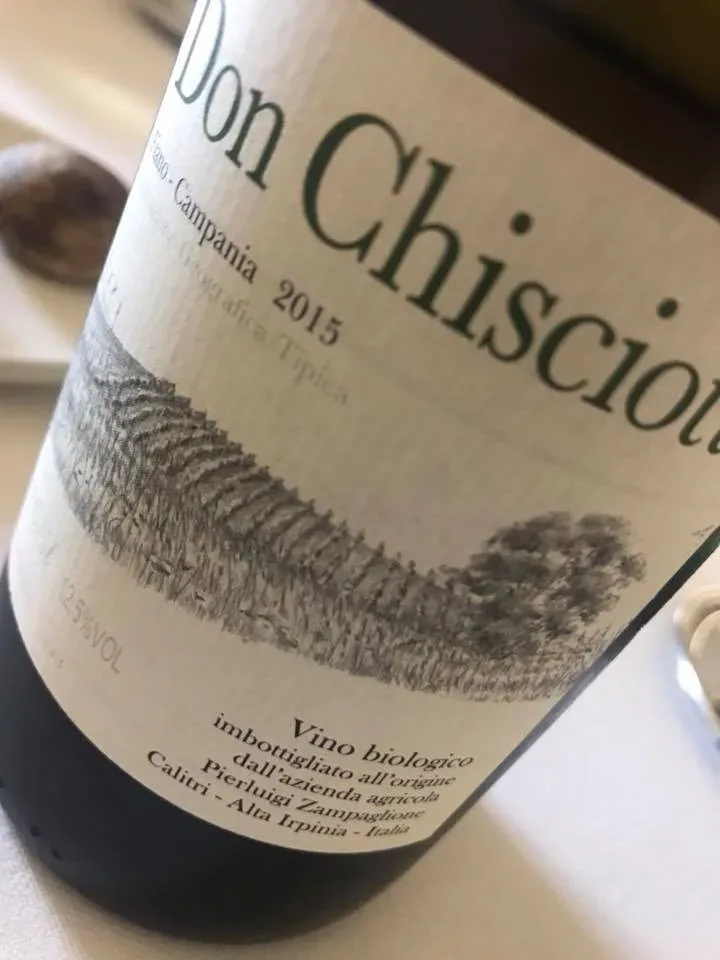 Don Chisciotte 2015 Pierluigi Zampaglione