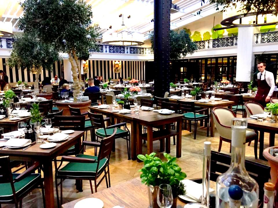 Novikov, The Garden