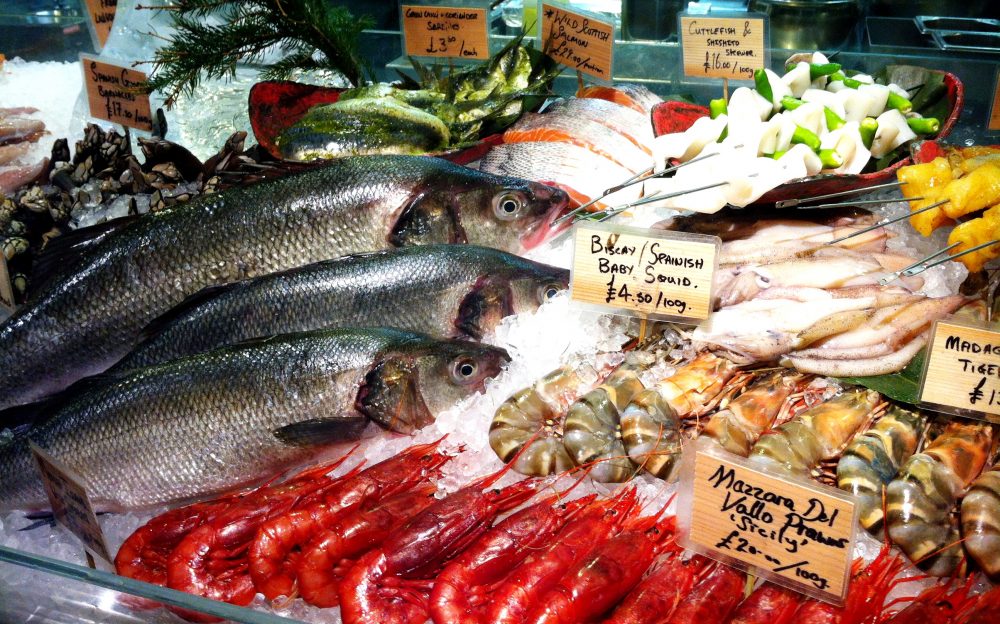 Novikov, The Fish Counter