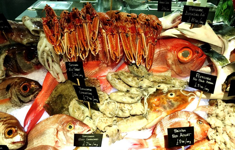 Novikov, The Fish Counter