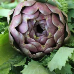 Top Ten degli alimenti, i carciofi