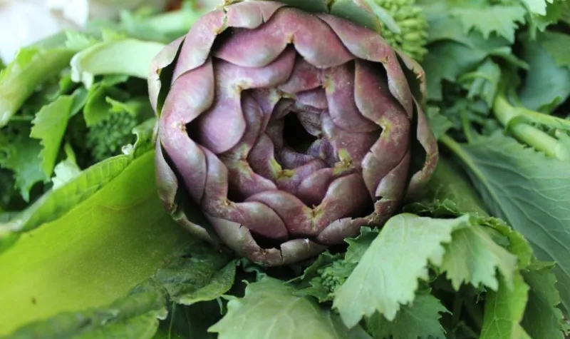 Top Ten degli alimenti, i carciofi