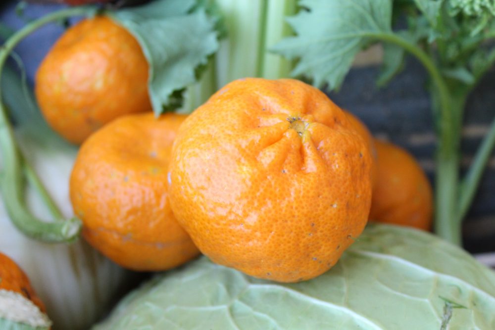 Top Ten degli alimenti, i mandarini