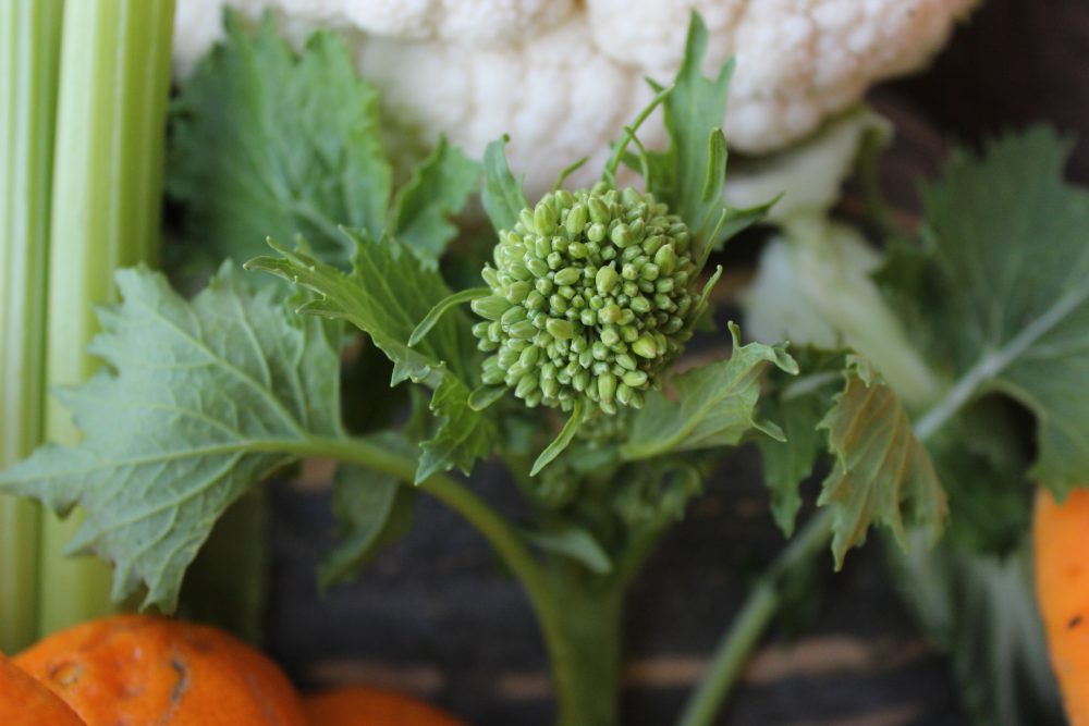 Top Ten degli alimenti, i broccoli