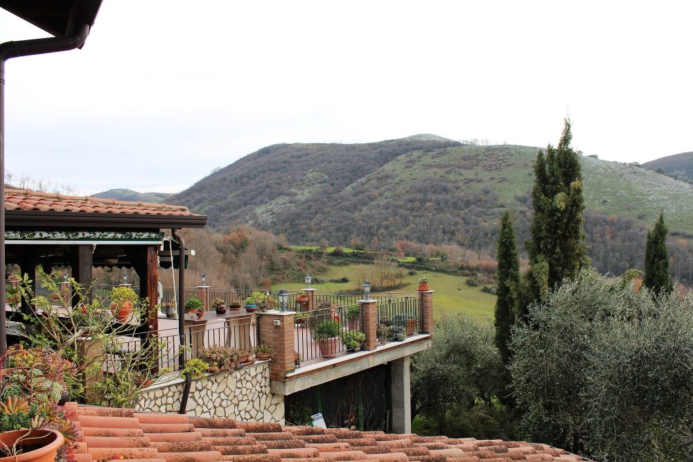 Le Campestre – il terrazzo e le colline circostanti
