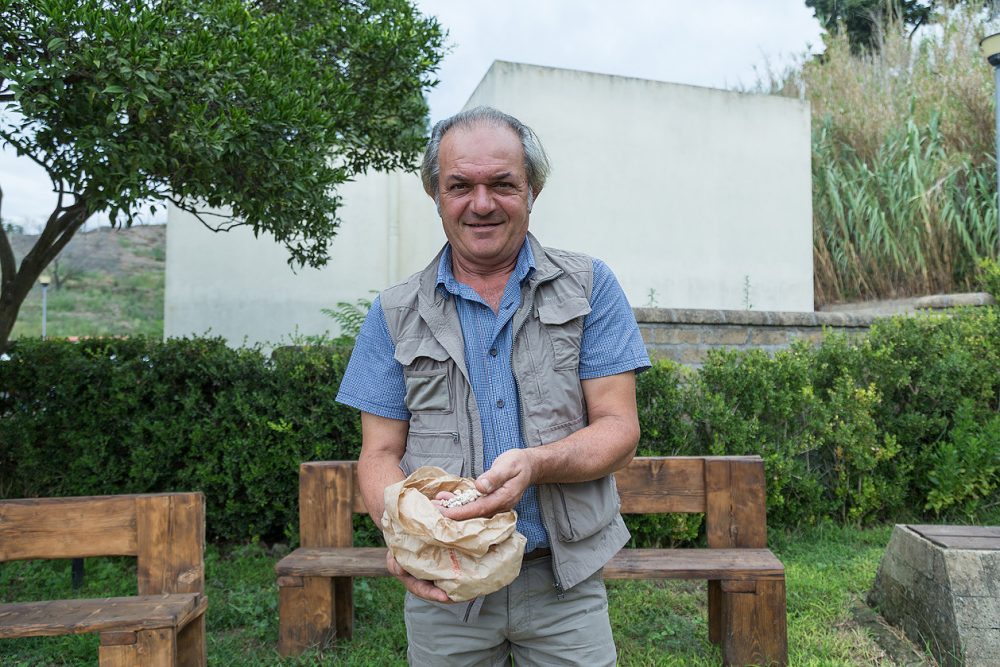 Luigi custodisce i semi della Cicerchia dei Campi Flegrei