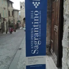 Anteprima Montefalco Sagrantino DOCG 2014