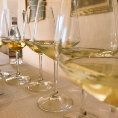 La Vernaccia di San Gimignano