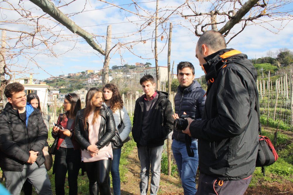 Mattia parla delle varieta' locali