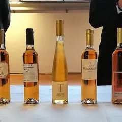 Prima del Torcolato - Bottiglie