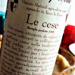 Umbria Sangiovese Le Cese 2014, Collecapretta
