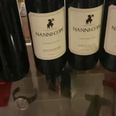 Sabbie di Sopra il Bosco 2016 Nanni Copè