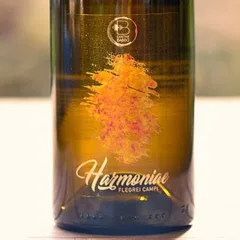 Campi Flegrei Falanghina Harmoniae 2016 Cantine Babbo