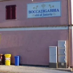 Azienda Boccadigabbia