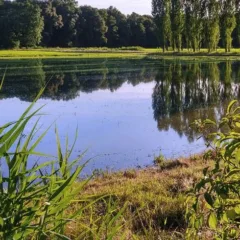 Riserva San Massimo, foto dal Web