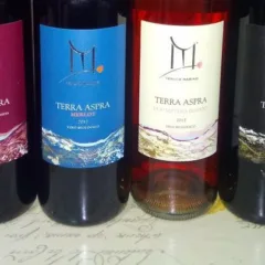 Vini Azienda Agricola Francesco Marino