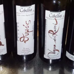 Vini azienda Cobellis