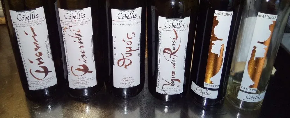 Vini azienda Cobellis