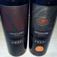 Vini di Coppi vincitori a Radici del Sud 2017