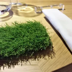 Impronta d'acqua, la tavola