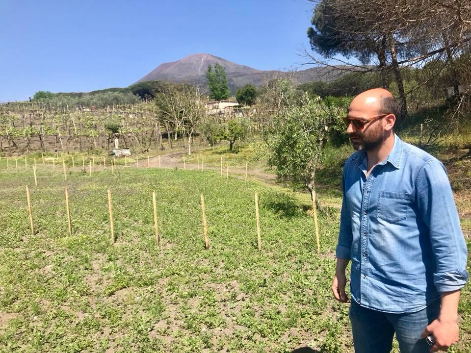 Cantine Matrone, Andrea