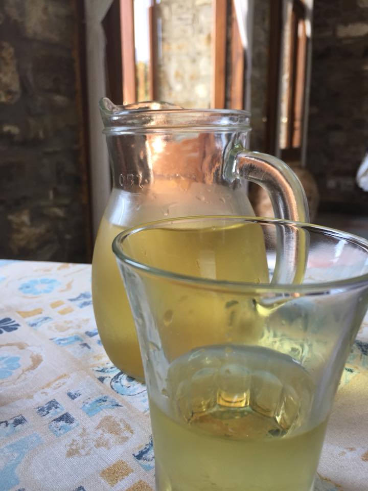 Paisa', il fiano cilentano sfuso