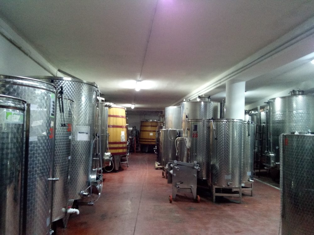 Cantina Viticoltori Polito