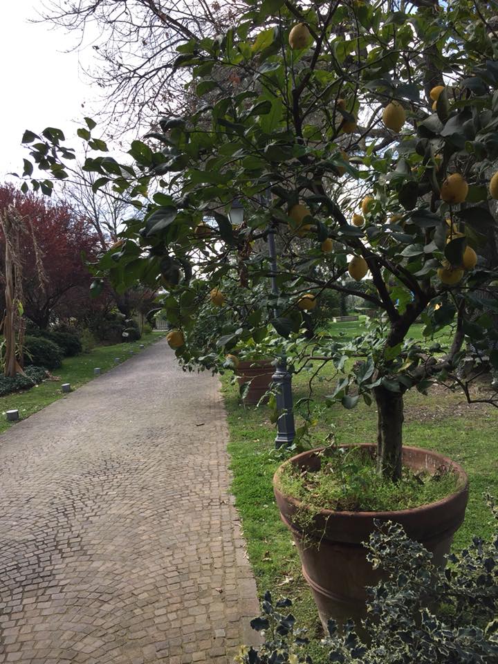 Il Focarile, scorcio del giardino